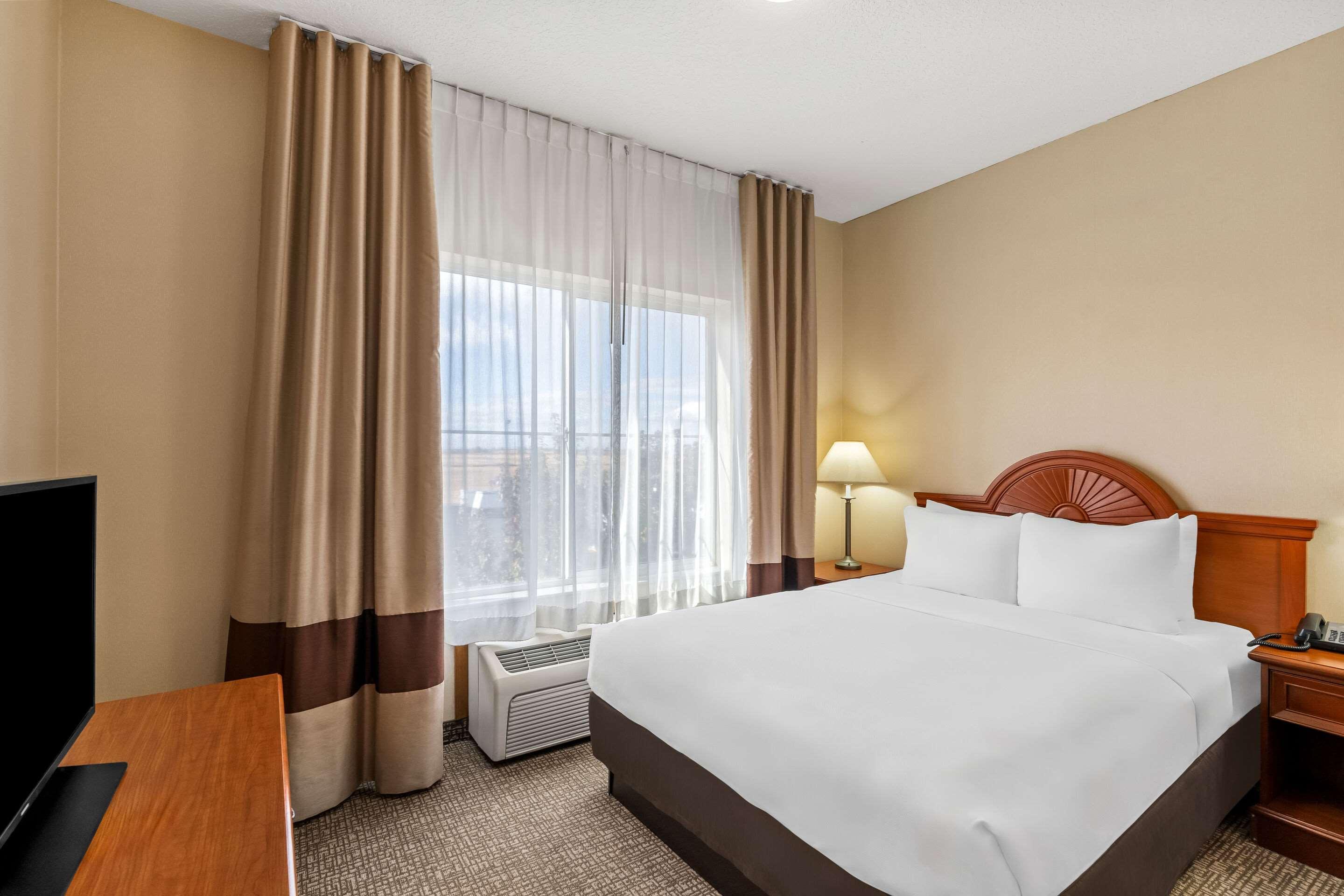 Efficiency, Suite, Queen Bed