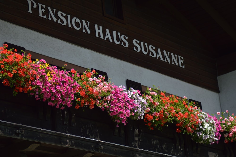 Haus Susanne 5/49