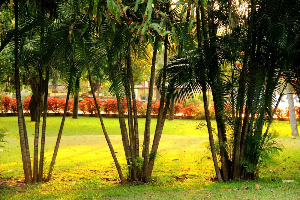 Vgp Golden Beach Resort 45/49