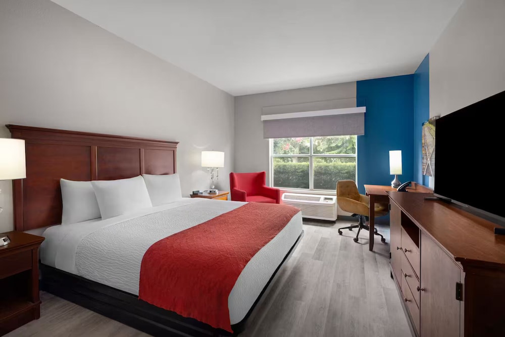 Room, King Bed