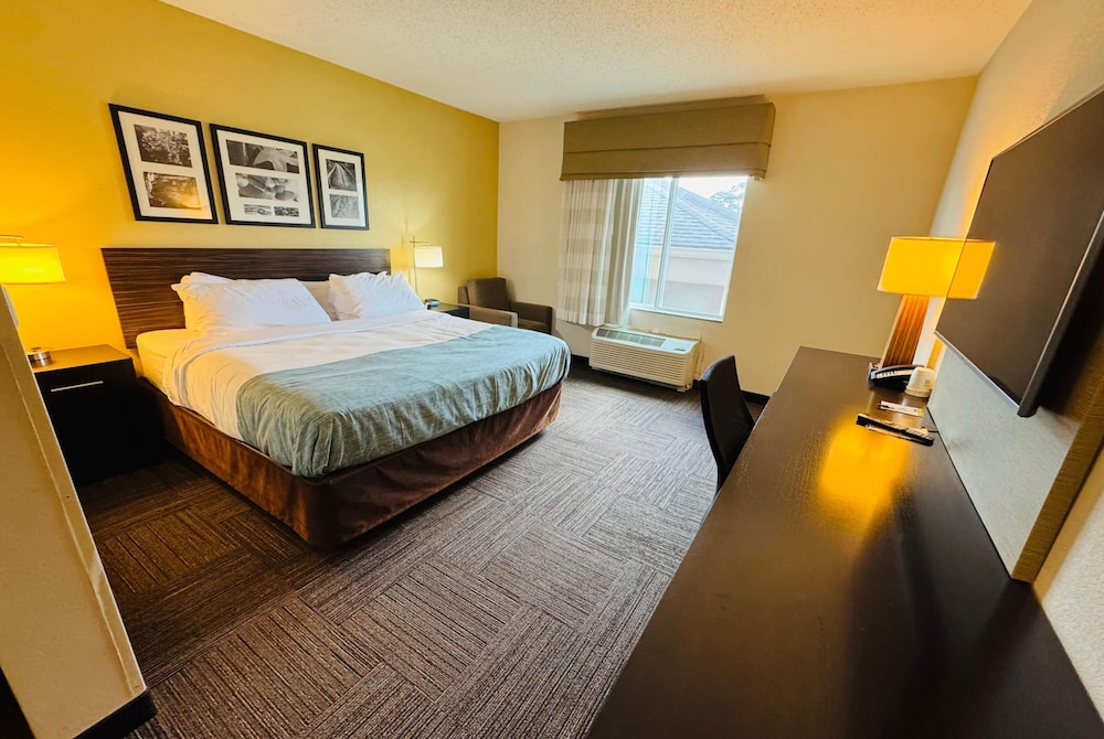 Room, King Bed, Accessible