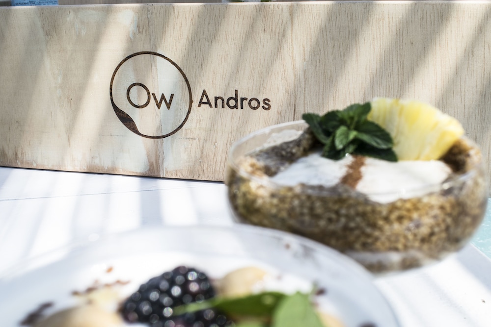 Ow Andros - Luxury Suites 13/50