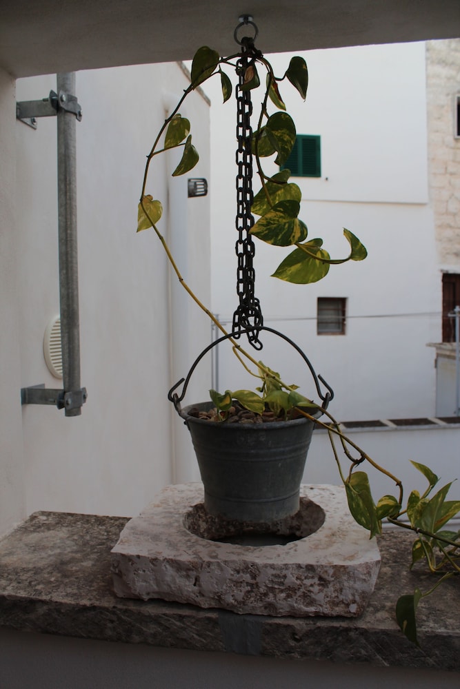Terracielo Guest House 31/50