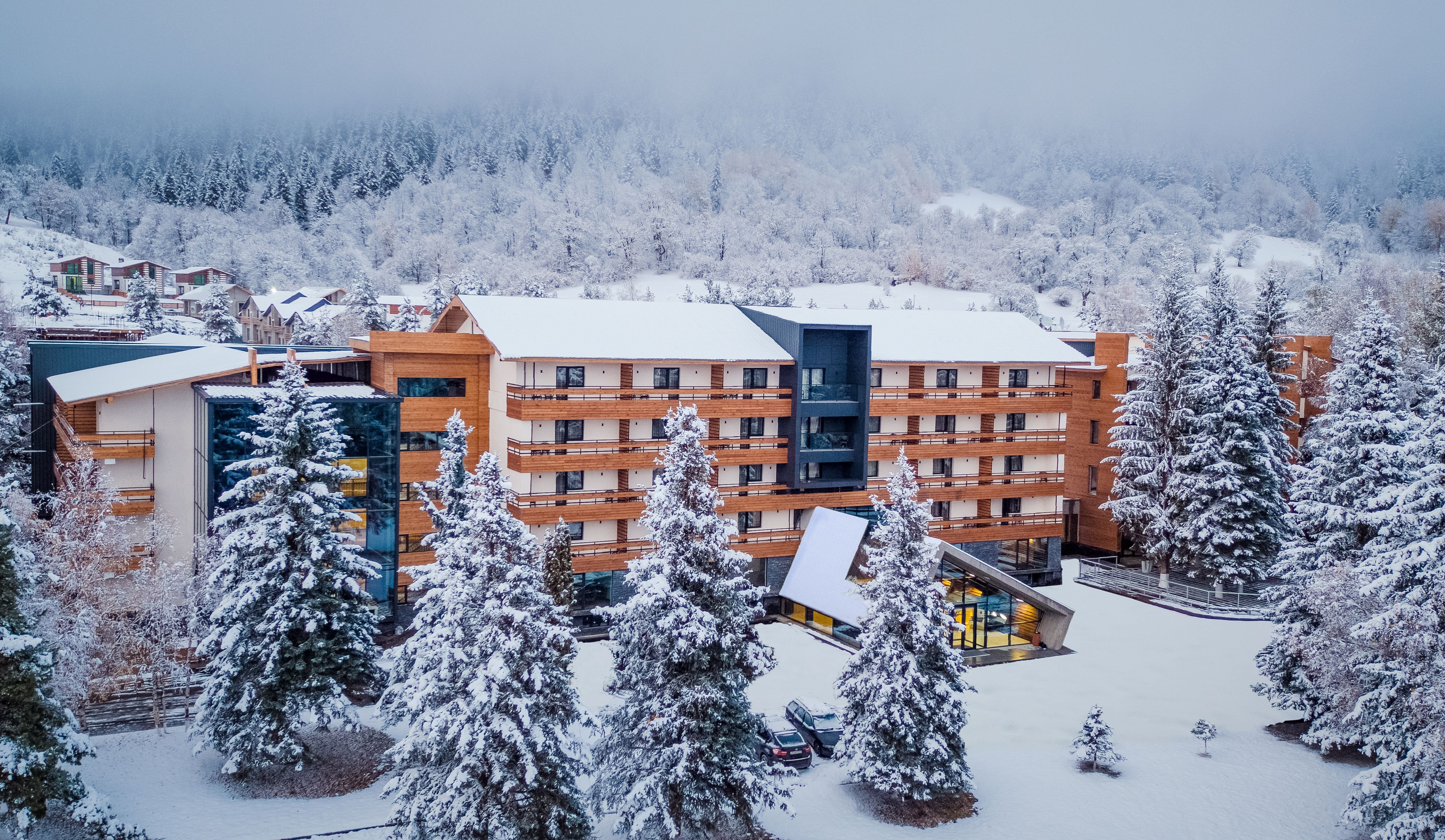 Bakuriani Inn in BORJOMI