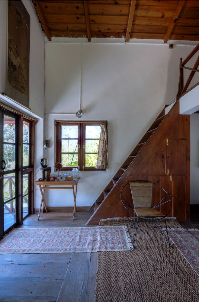 Jungle Lore Birding Lodge 11/29