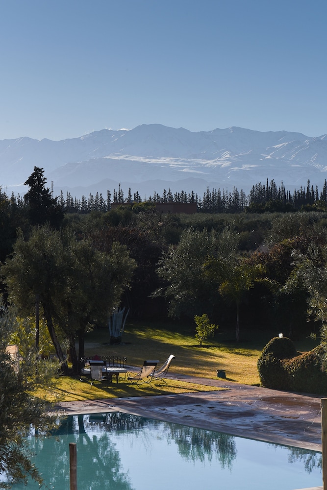 Les Jardins de Zyriab 44/50