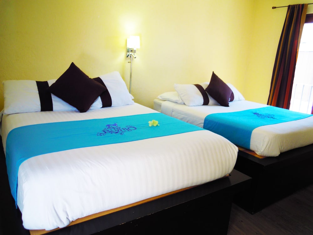 Hotel & Spa Mansion Del Burro Azul 14/50