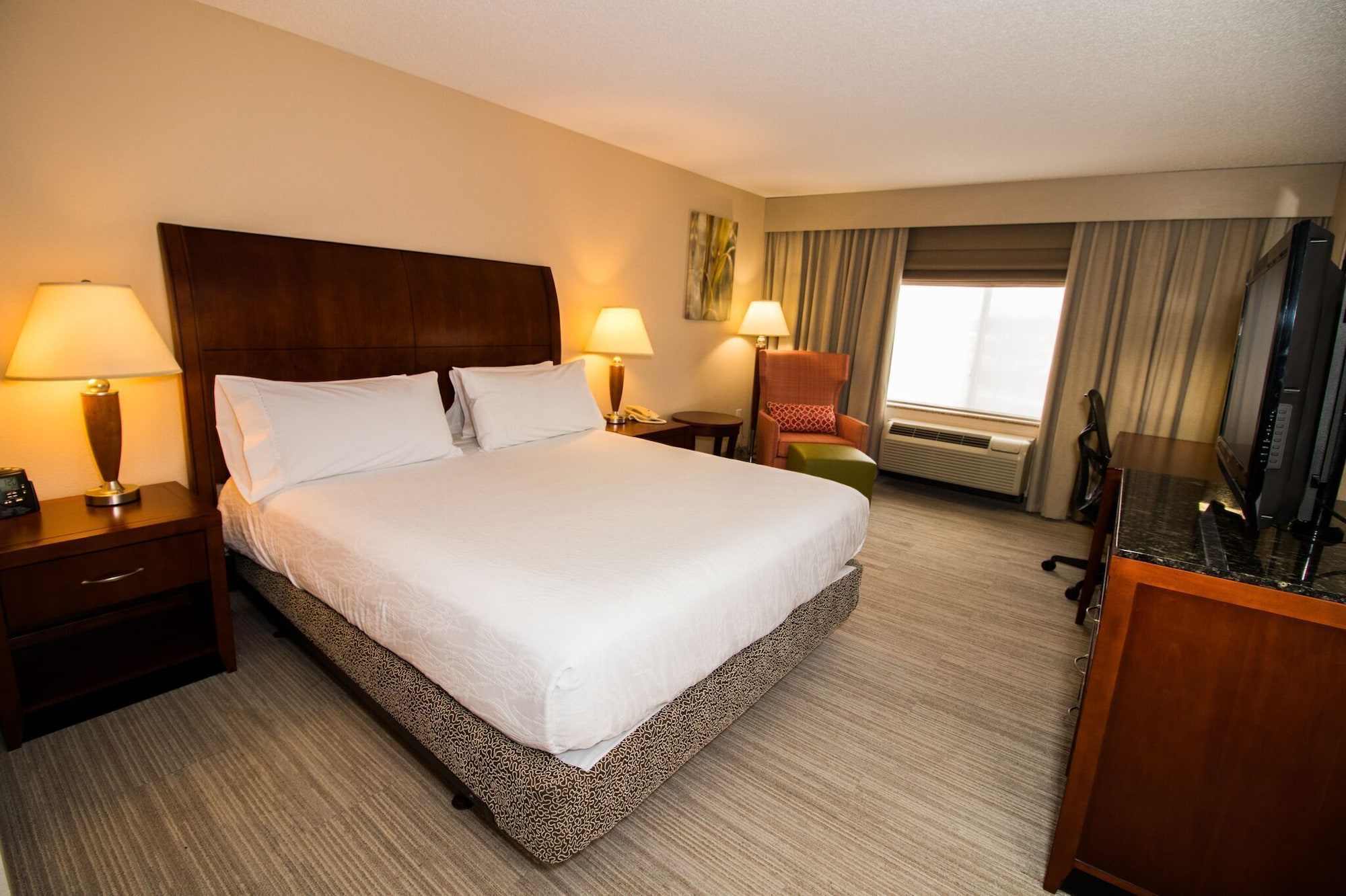 Room at HILTON GARDEN INN, DOVER - DE