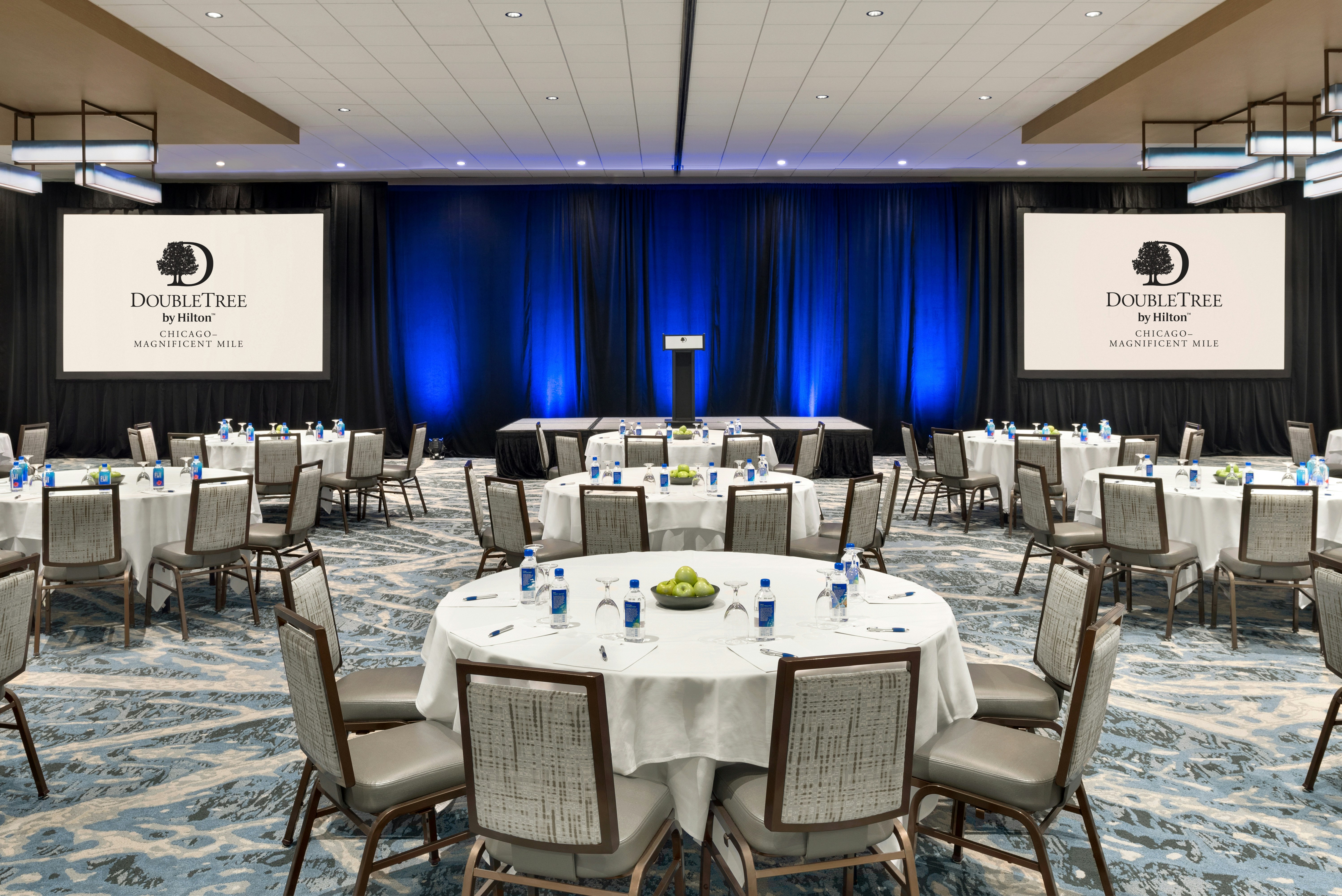 DoubleTree by Hilton Hotel Chicago Magnificent Mile 65/79