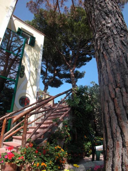 Albergo Villa Hibiscus 51/63