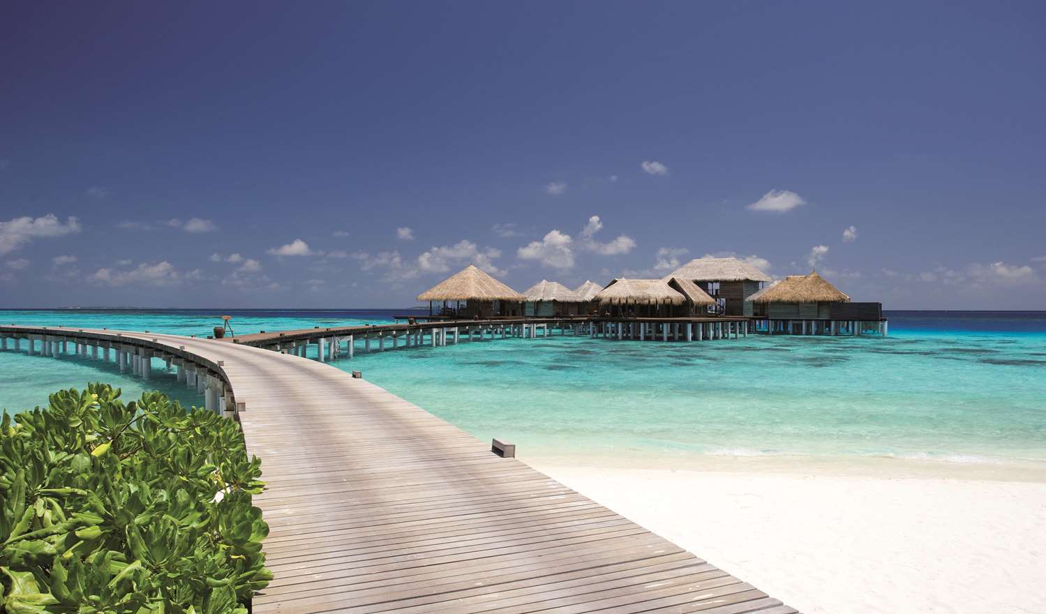 Coco Bodu Hithi 49/60