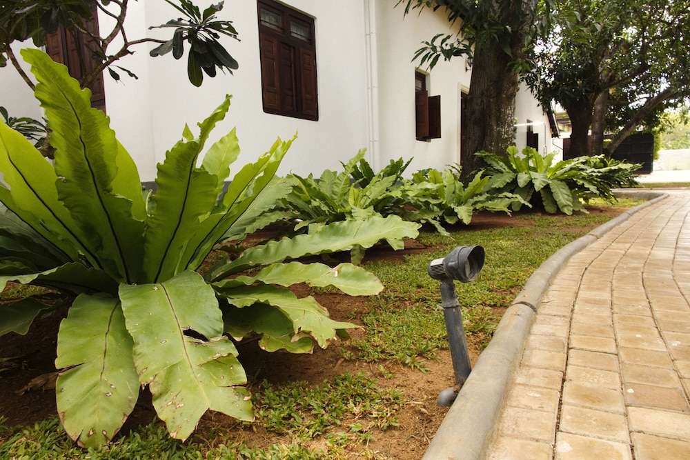 FOX Resorts Jaffna 44/50