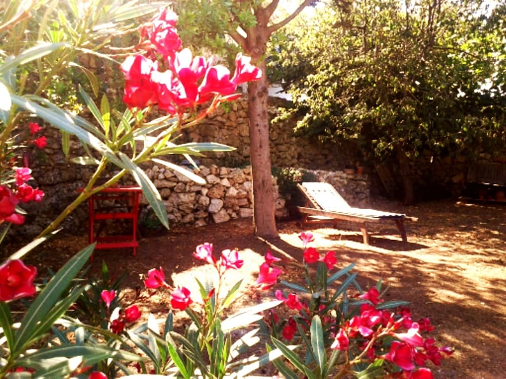 B&B Masseria Delle Rose 1760 23/33