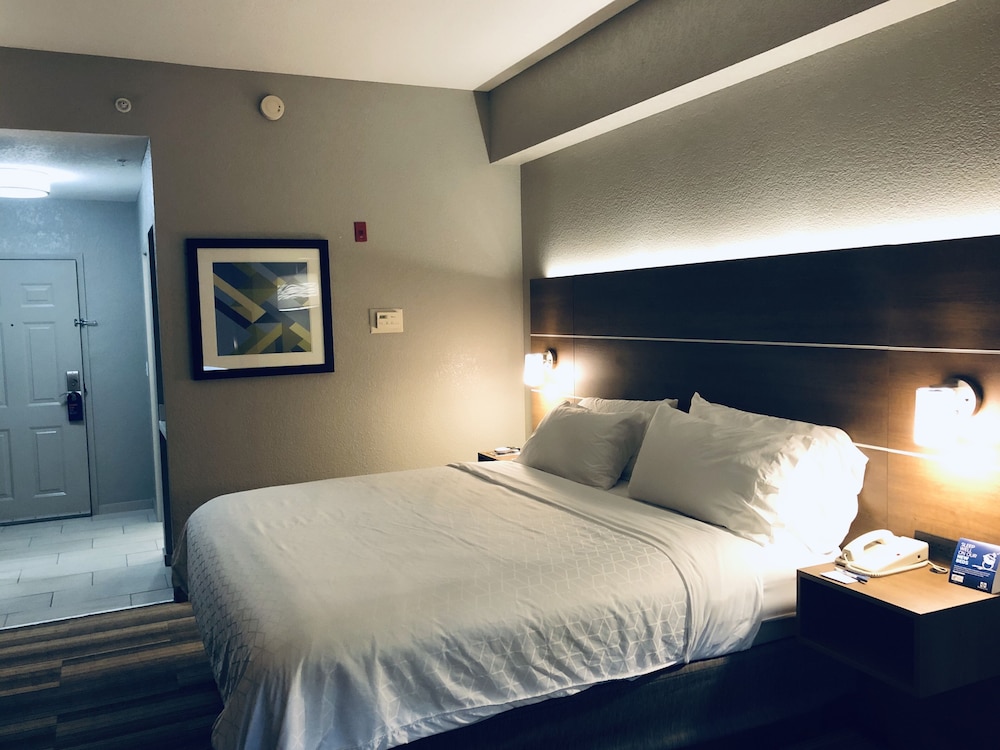 Holiday Inn Express West Palm Beach Metrocentre 34/74