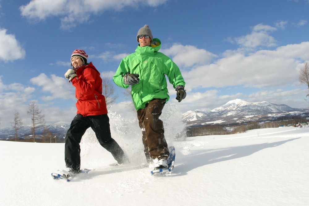 Niseko Hirafu Izumikyo Rental Cottage 44/50