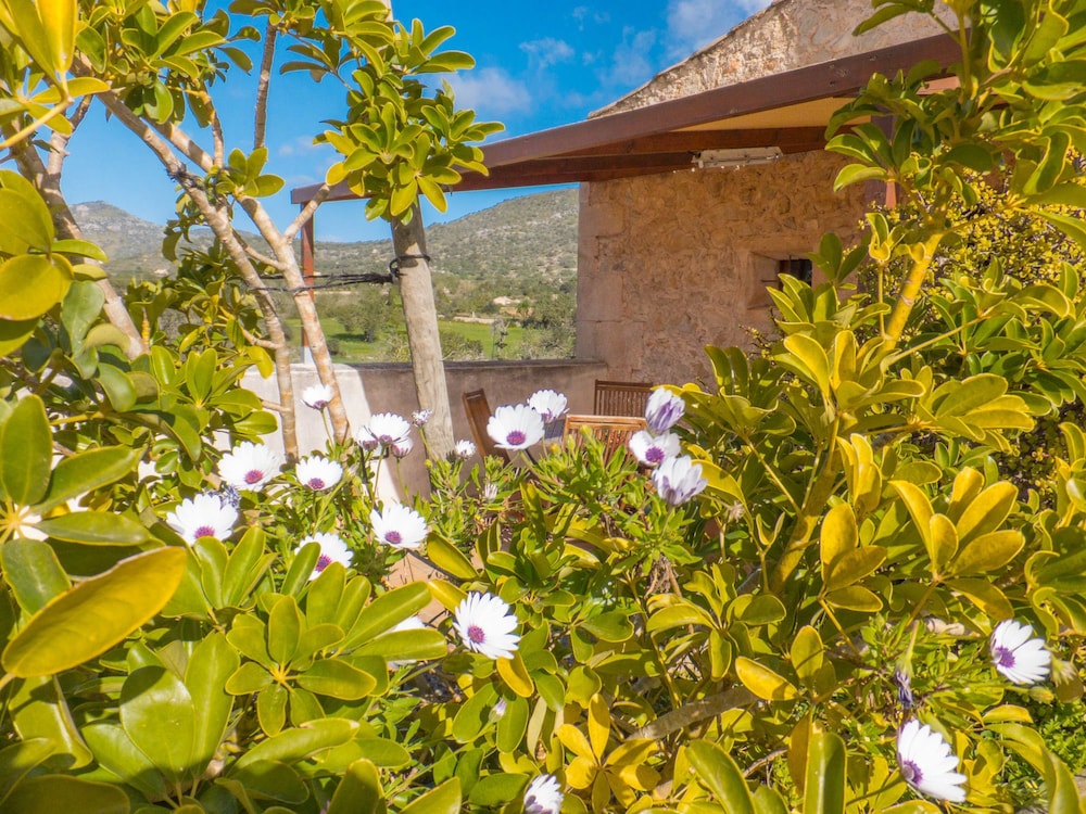 Finca Hotel Ses Cases Noves 39/50