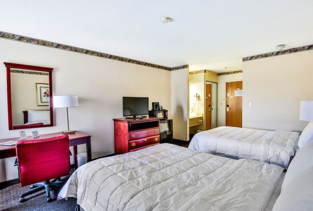 The View Inn Suites Hotel 31/69