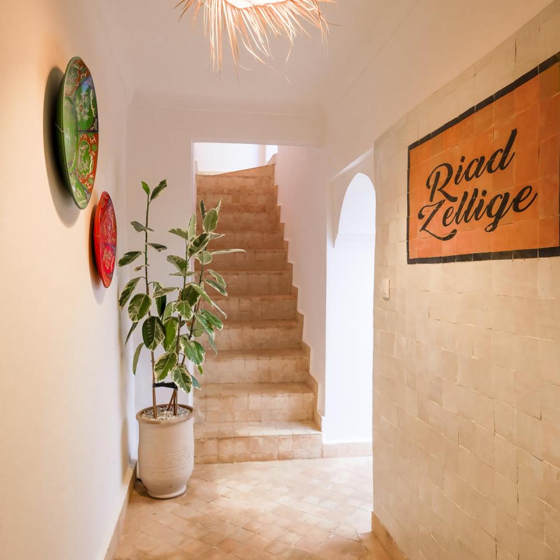 Riad Zellige 6/55