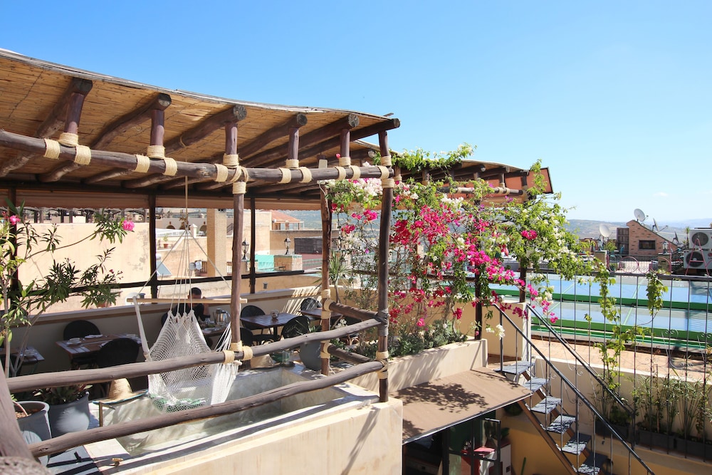 RIAD ANATA 6/50