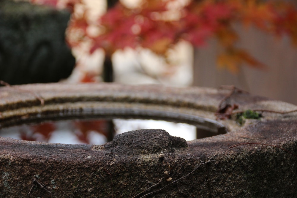 はる家奈良町 写真5