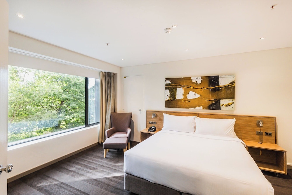Diplomat, Suite, King Bed