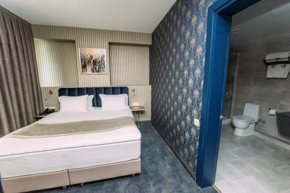 Hotel Sapphire Bakuriani 12/50