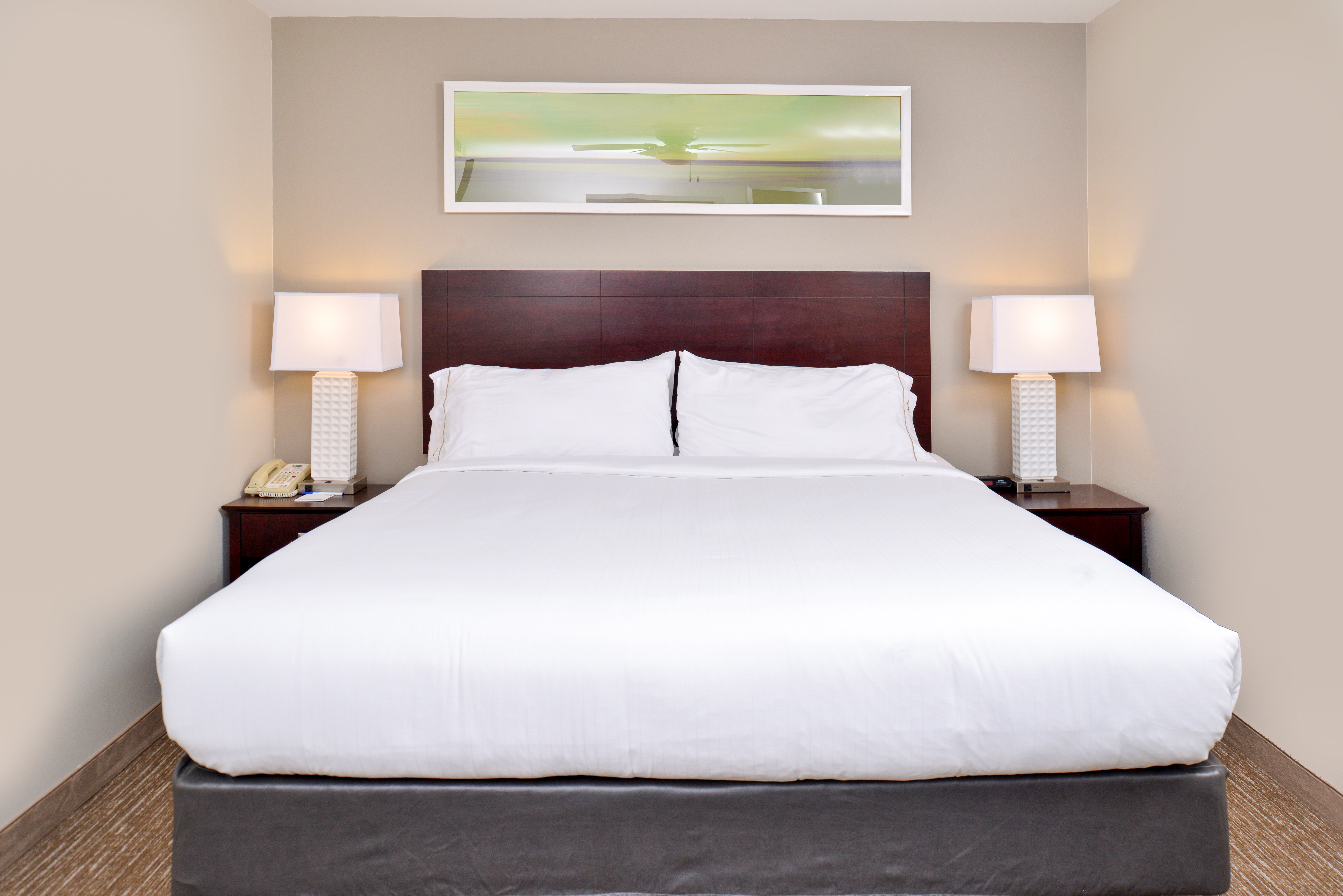 جناح بسرير كينج بحوض جاكوزي بحوض استحمام، Holiday Inn Express Hotel And Suites Lafayette 2/3