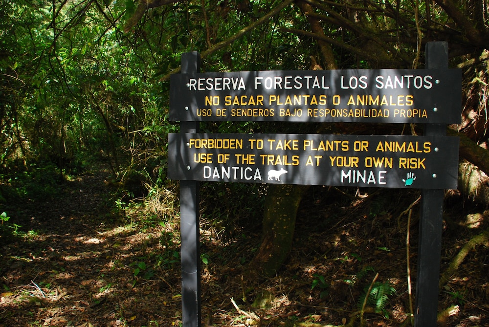 Dantica Cloud Forest Lodge 1/50