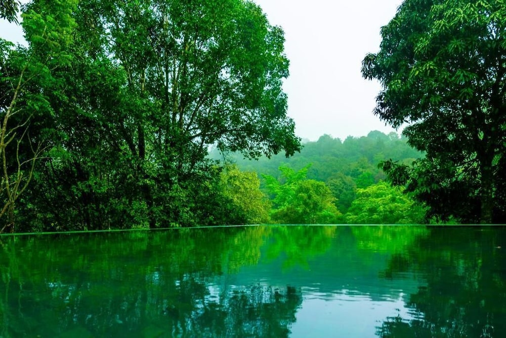 Wayanad Wild - Cgh Earth 24/48