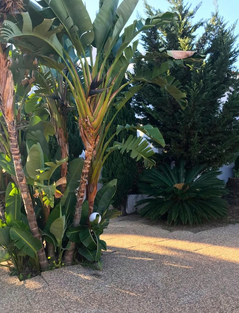 surroundings