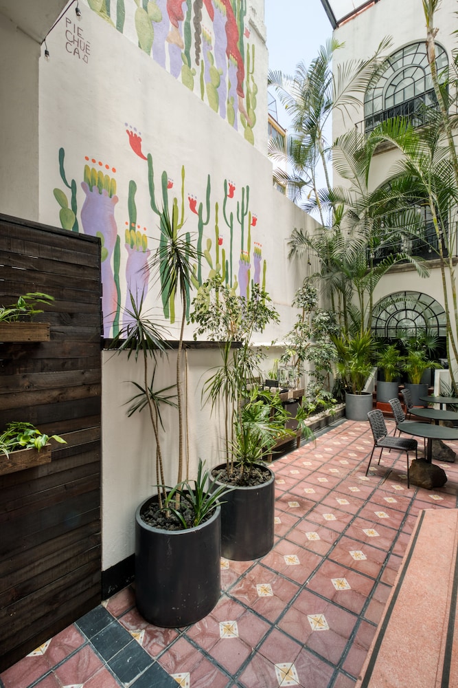 Sonder Casa Tonala 45/50