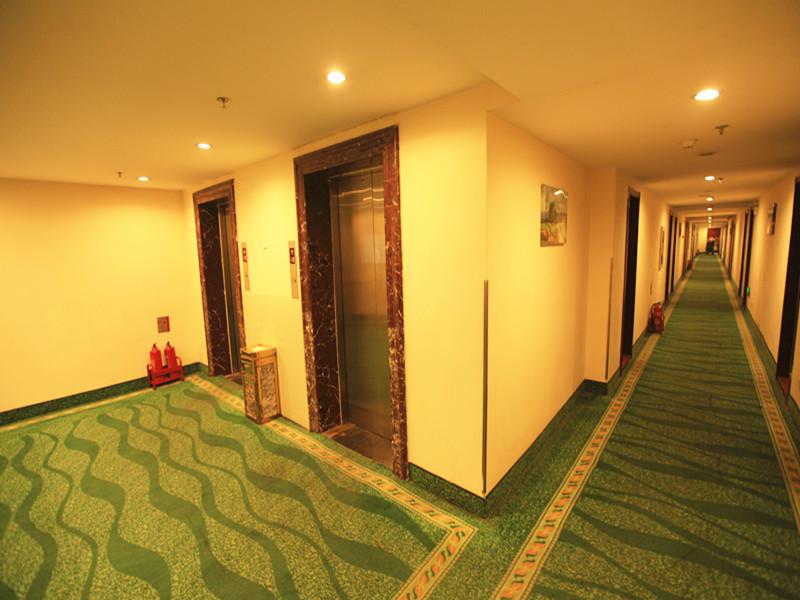 Greentree Inn Tianjin Dasi Meijiang Exhibition Cen 17/31