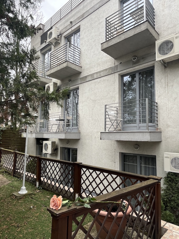 Hotel Papillon 2/50