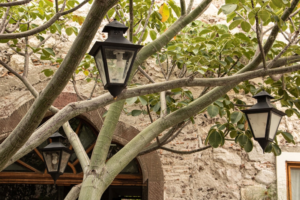 Orchid House San Miguel de Allende 27/50