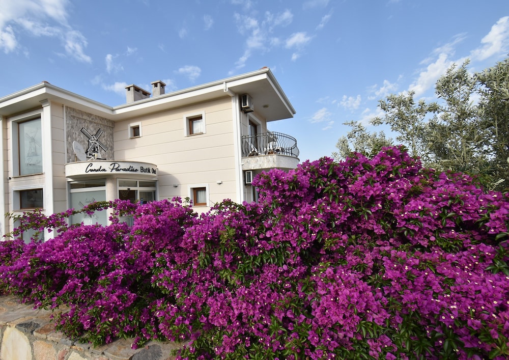 Cunda Paradise Butik Otel 4/56