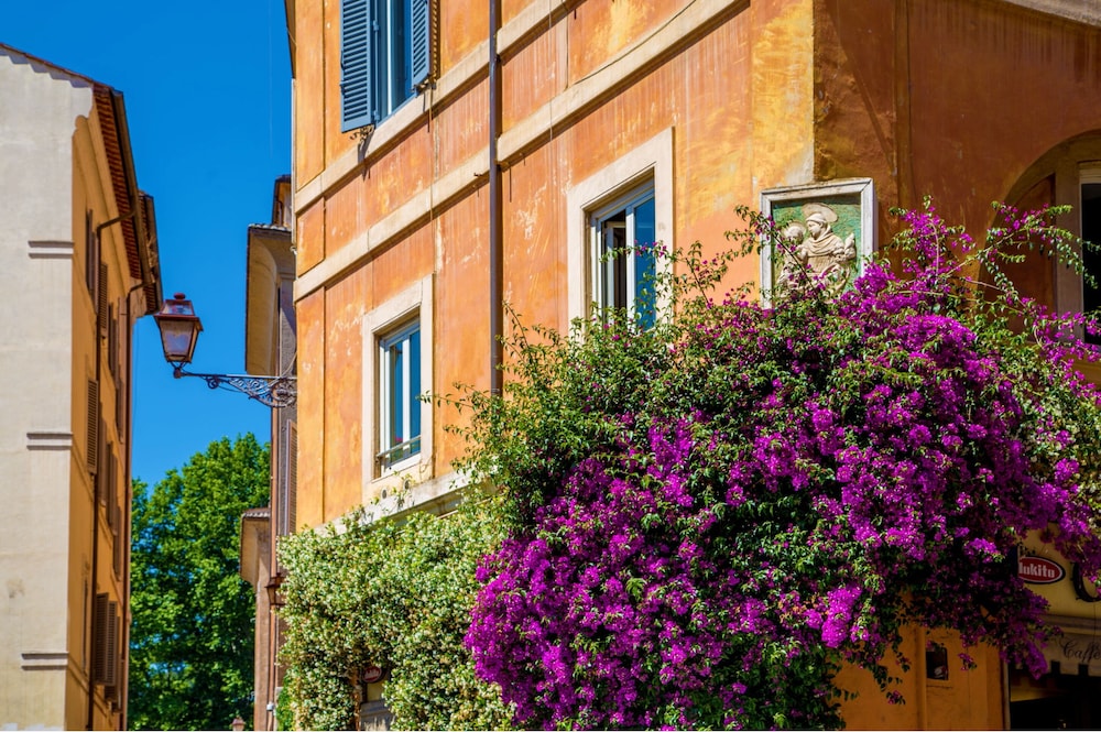 Palazzo Medusa 40/50
