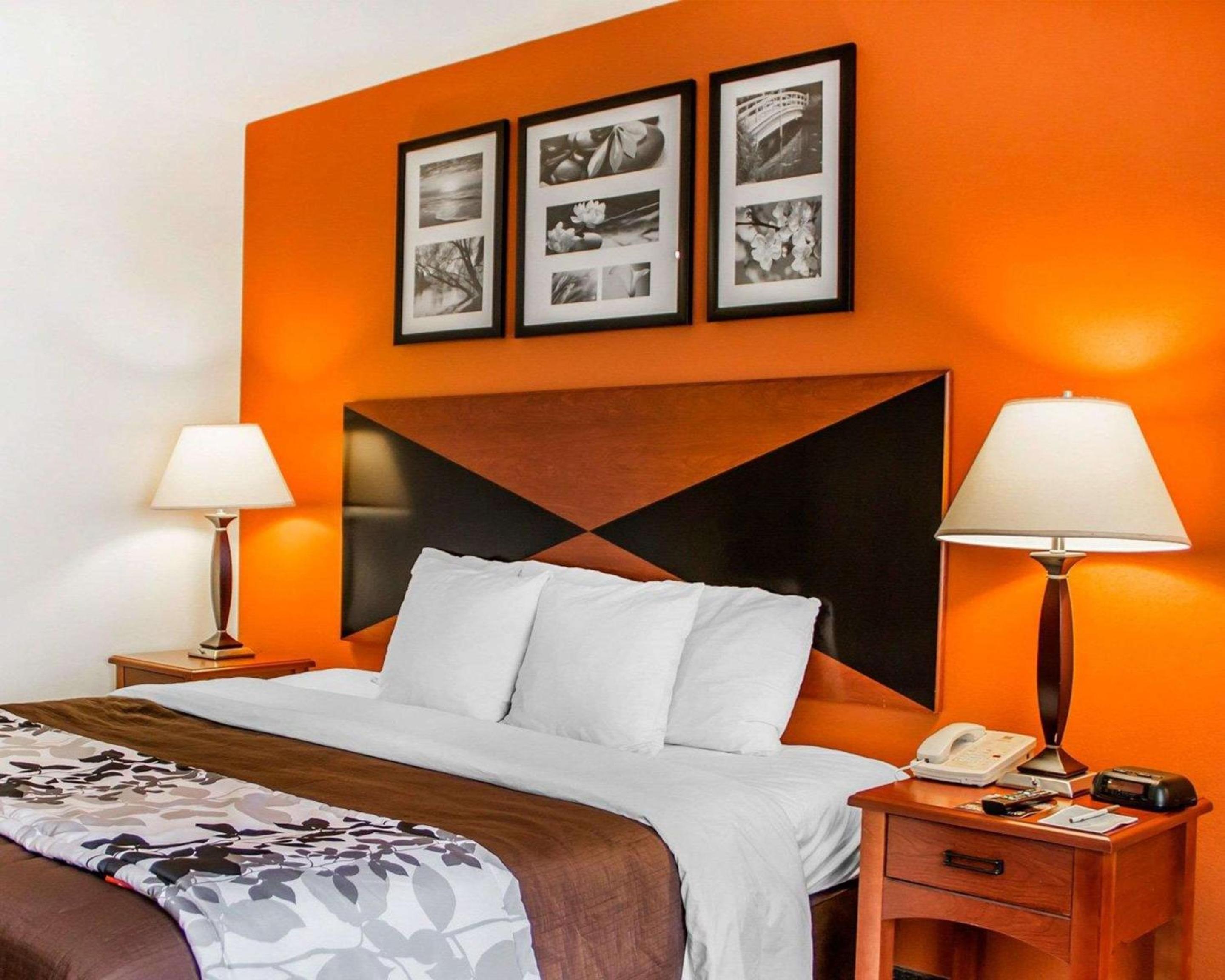SUITE, KING BED