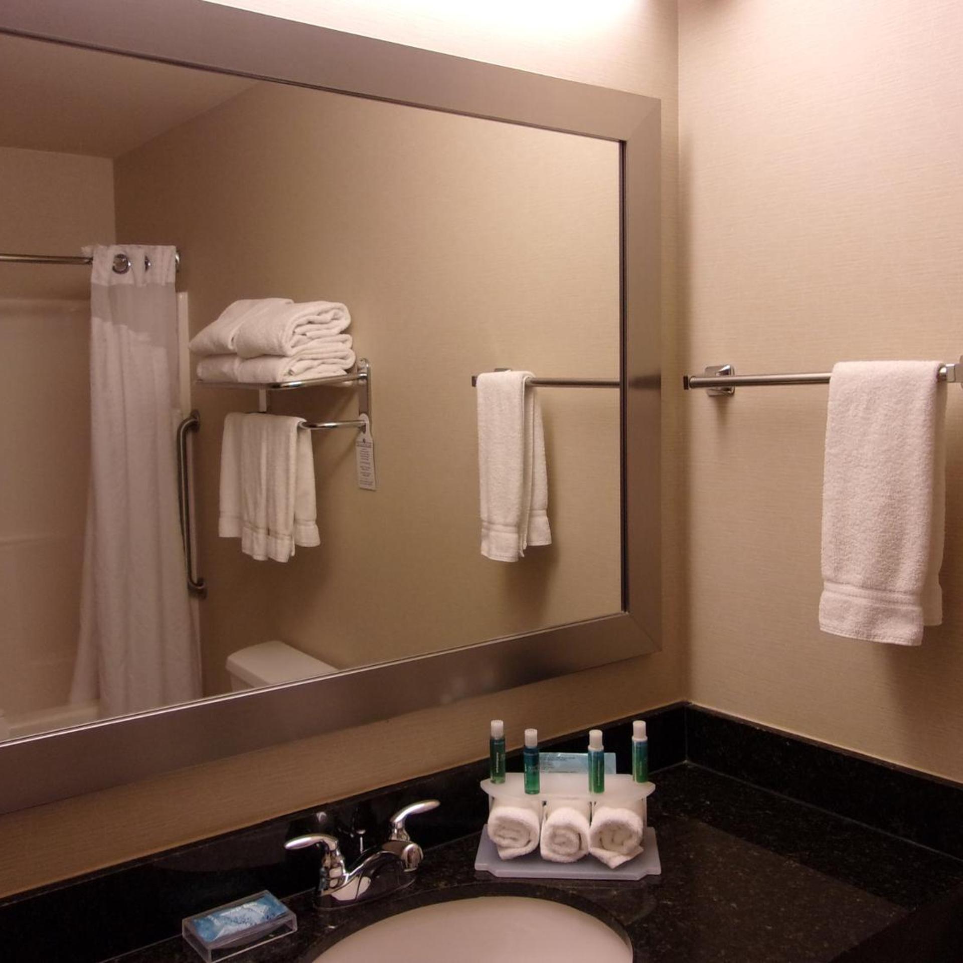 جناح لذوي الإعاقة، Holiday Inn Express Suites Chicago West Roselle 2/2