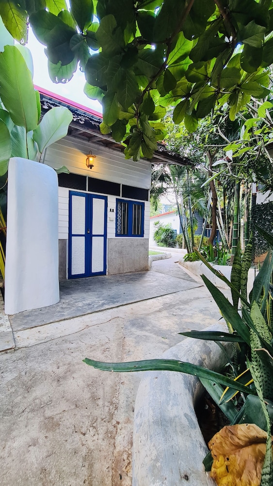 Canary Guesthouse 56/65
