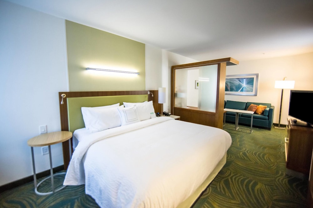 SpringHill Suites Lumberton 13/59