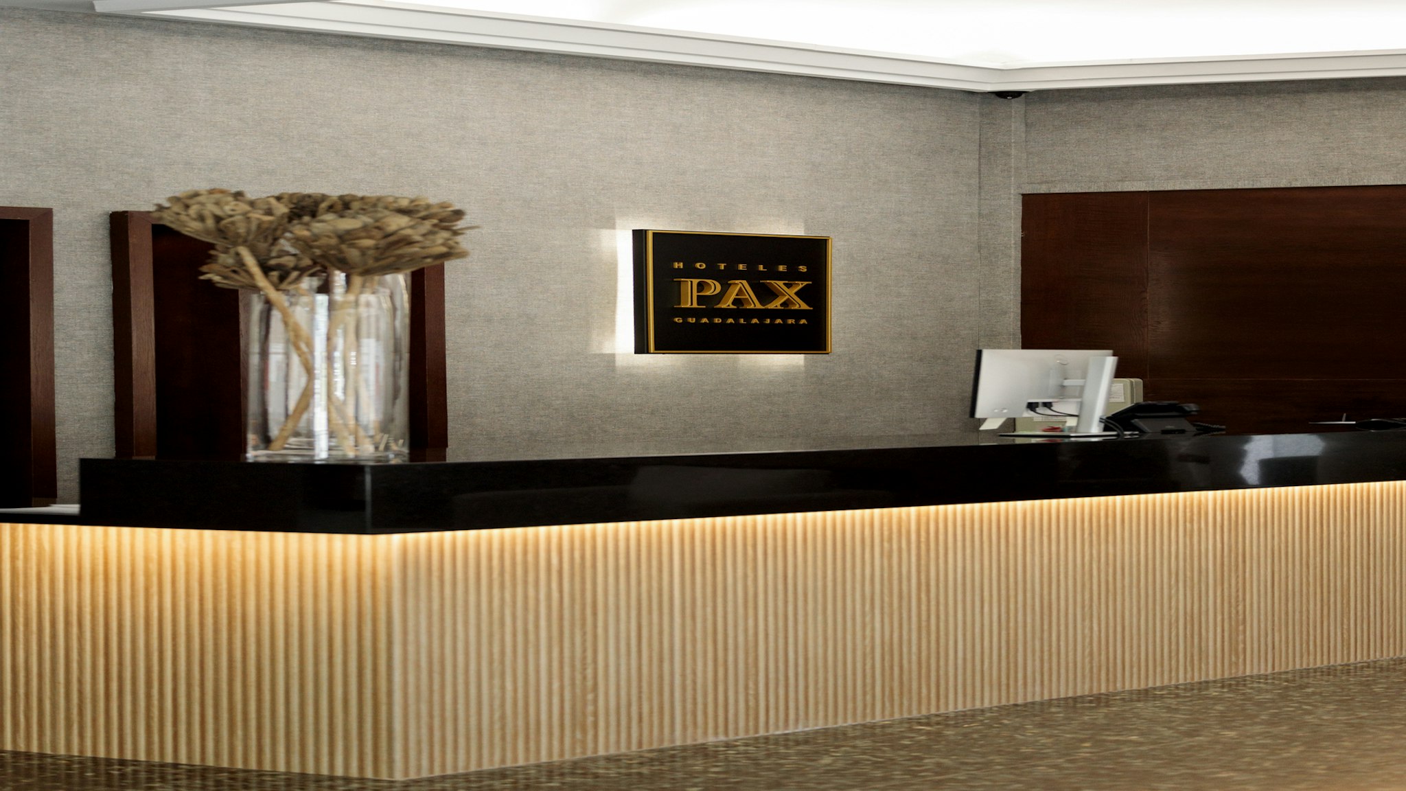 Hotel Pax Guadalajara 2/56