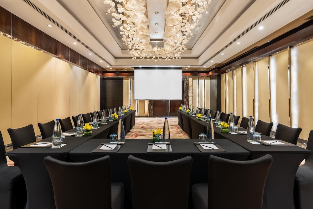 Radisson Blu Plaza Hotel Delhi Airport 64/76