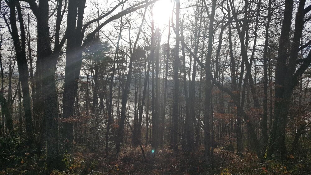 surroundings