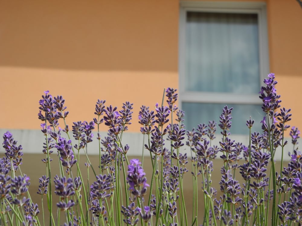 Villa Val Senart 37/40