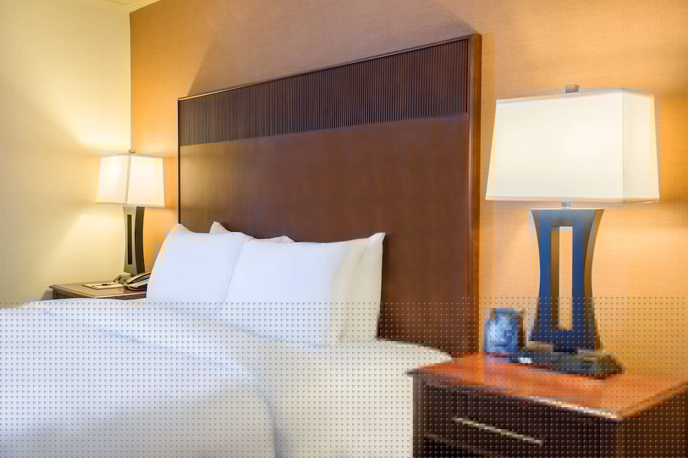 Hilton Philadelphia Airport 19/73