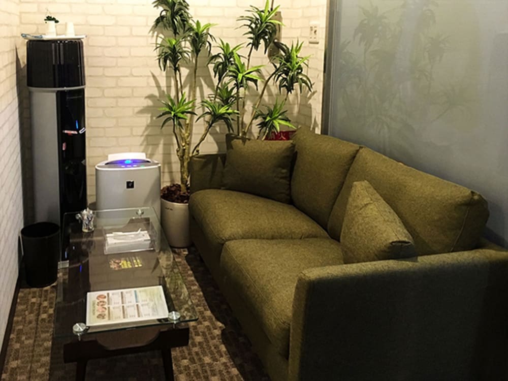 Hotel Livemax BUDGET Fuchu 40/50