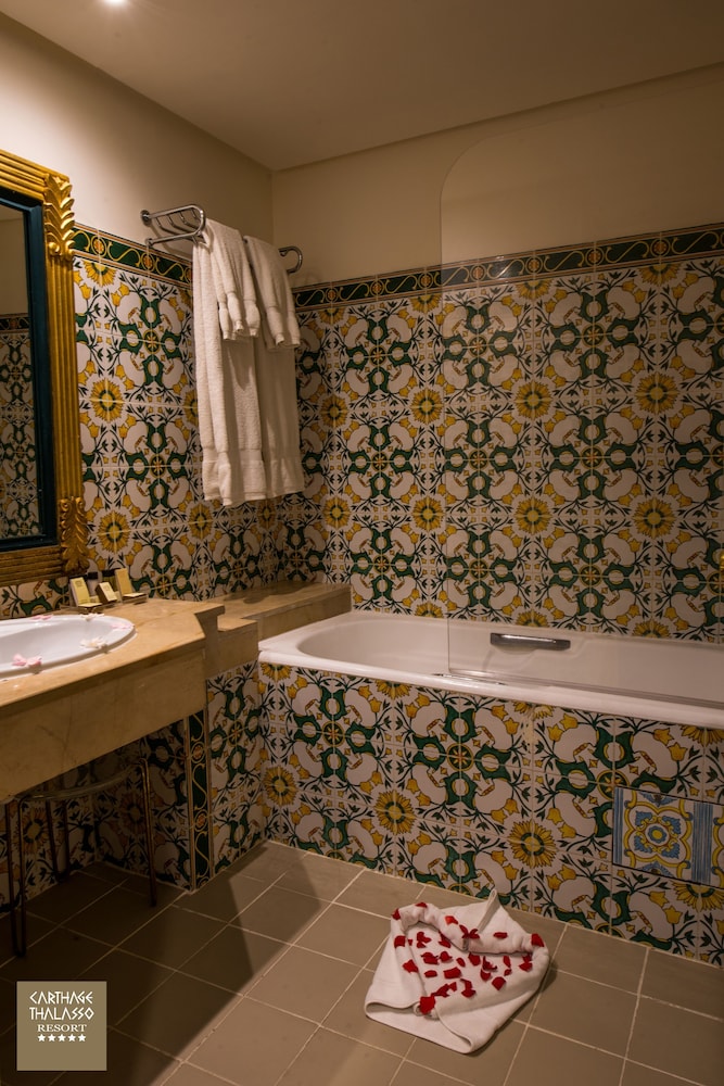 Carthage Thalasso Resort 39/73