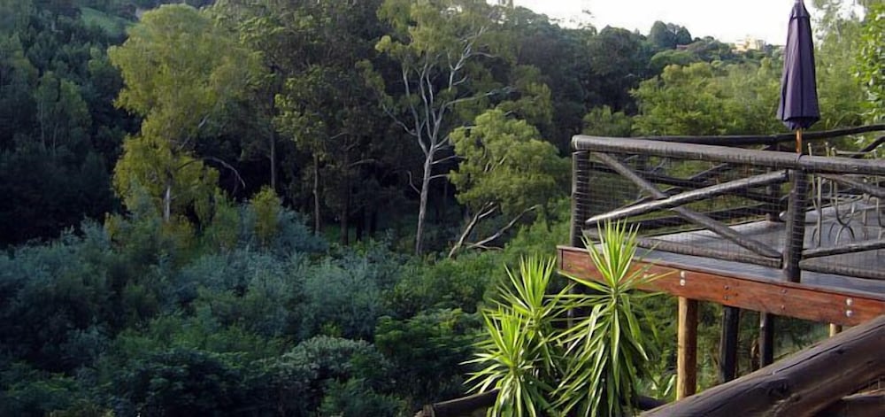 Coral Tree Inn 33/43