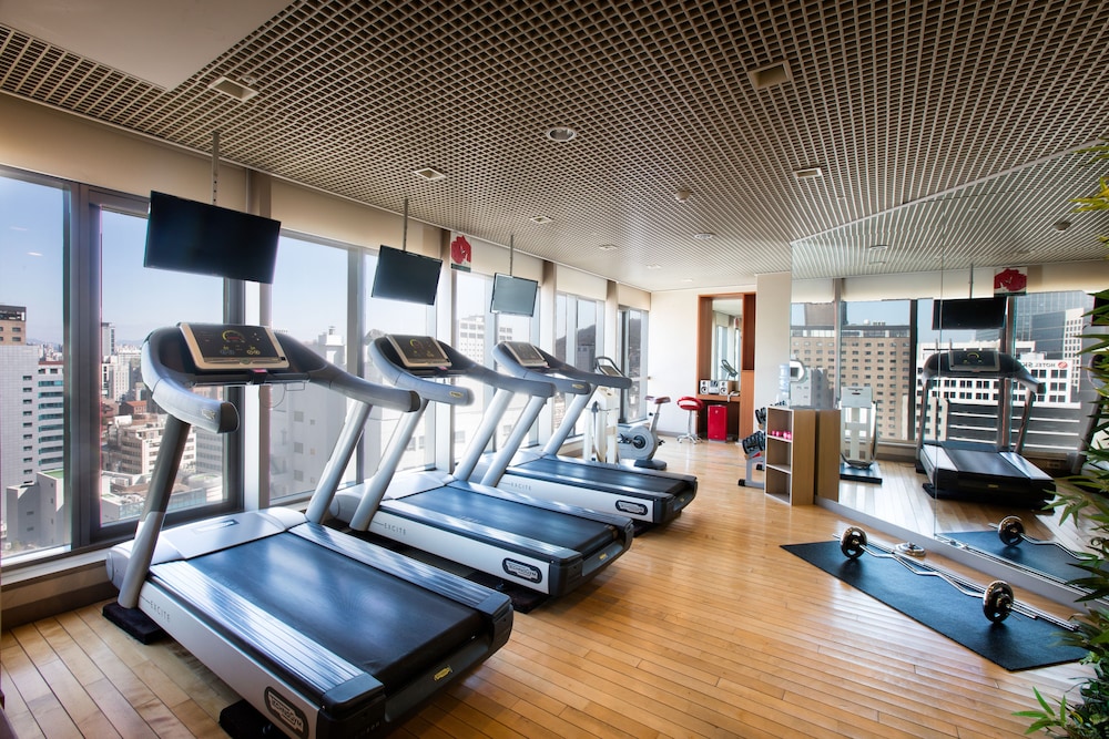 Ibis Ambassador Seoul Myeongdong 32/66