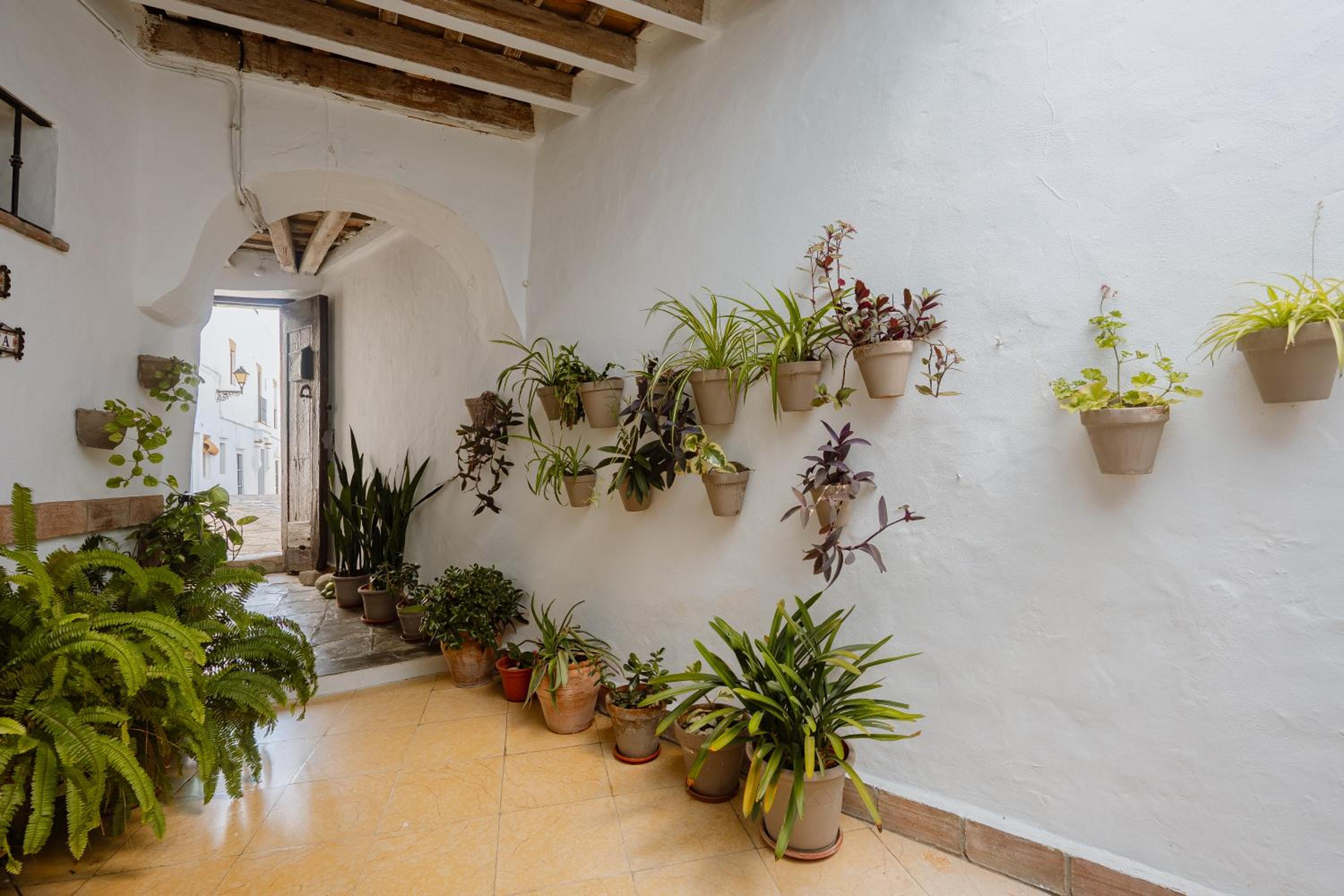 Casas Bodega Triana 5/21